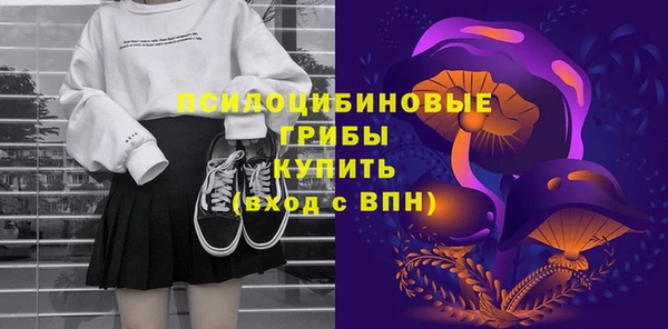 мдпв Вязники