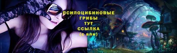 амф Майский