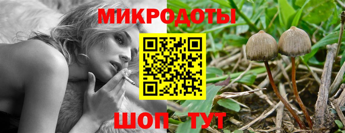 Галлюциногенные грибы GOLDEN TEACHER  купить наркотики цена  Джанкой 