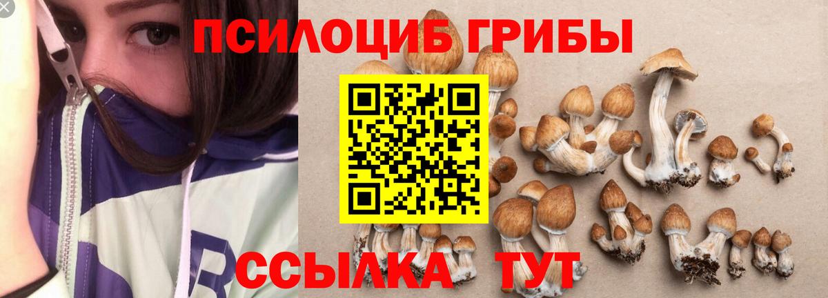 Галлюциногенные грибы прущие грибы Джанкой